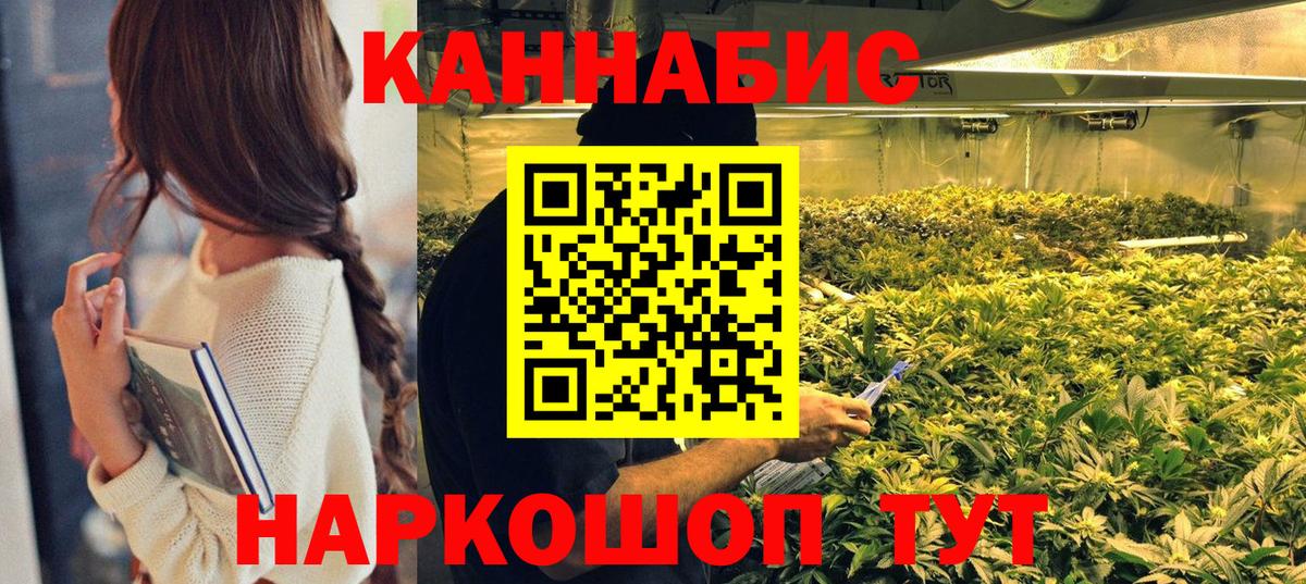 Бошки марихуана Bruce Banner  Вход с VPN  Семилуки  Бошки марихуана сатива 